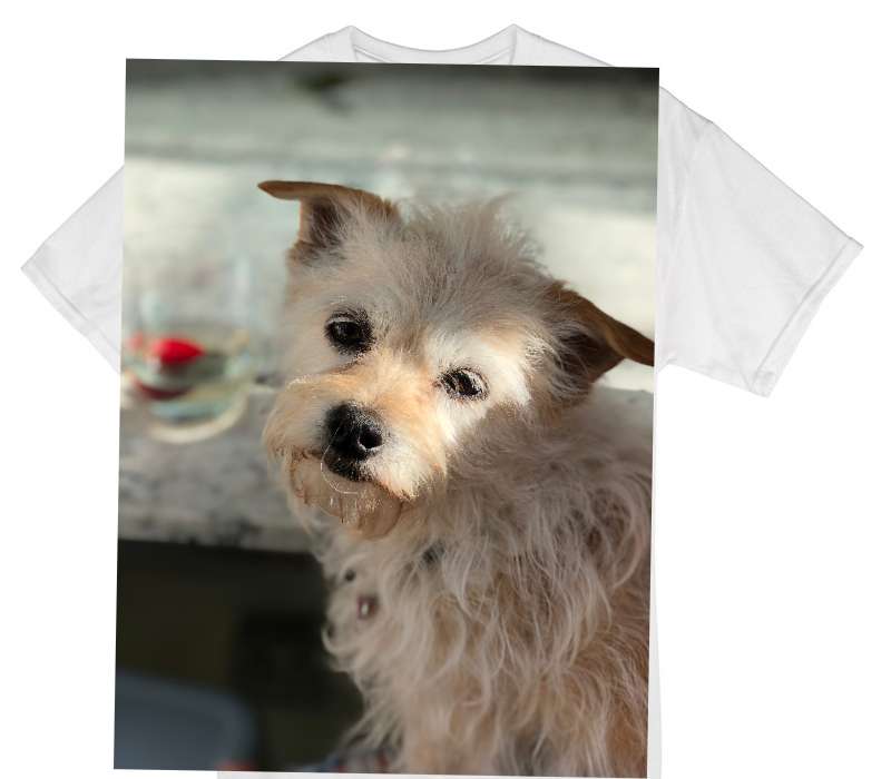 Custom Gildan 100% Cotton White T-Shirt