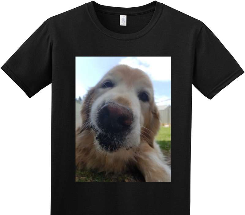 Custom Adult Soft Style 100% Cotton Black T-Shirt