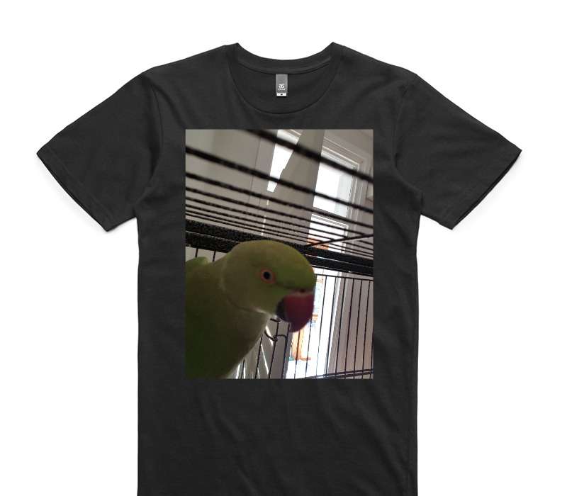 Custom AS Colour 100% Cotton Black T-Shirt