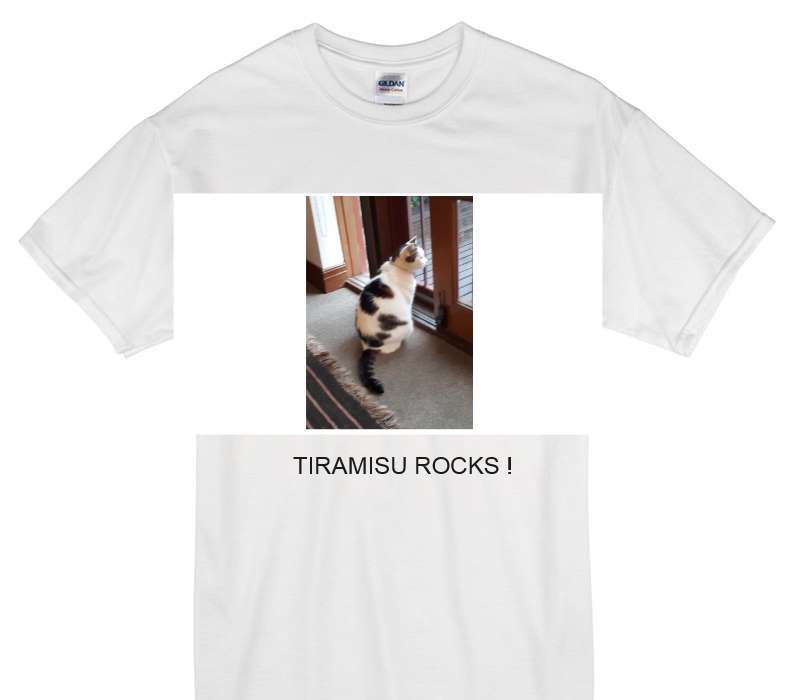 Custom Gildan 100% Cotton White T-Shirt