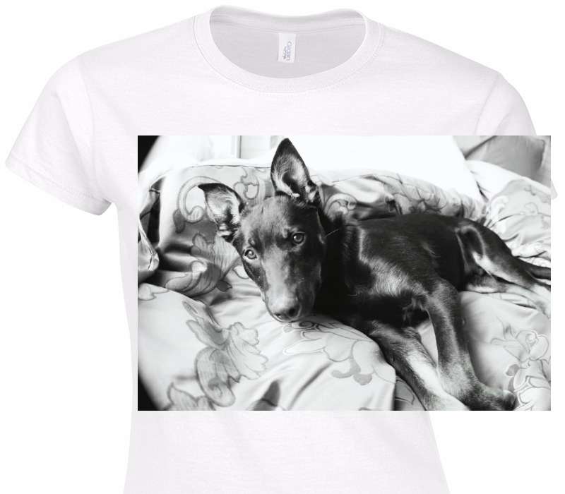 Custom Womens Soft Style 100% Cotton White T-Shirt