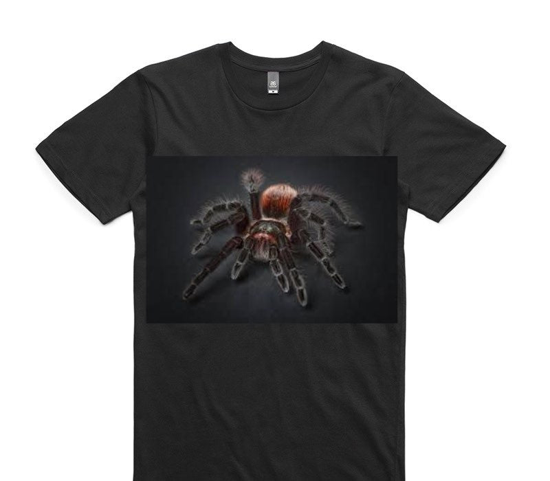 Custom AS Colour 100% Cotton Black T-Shirt