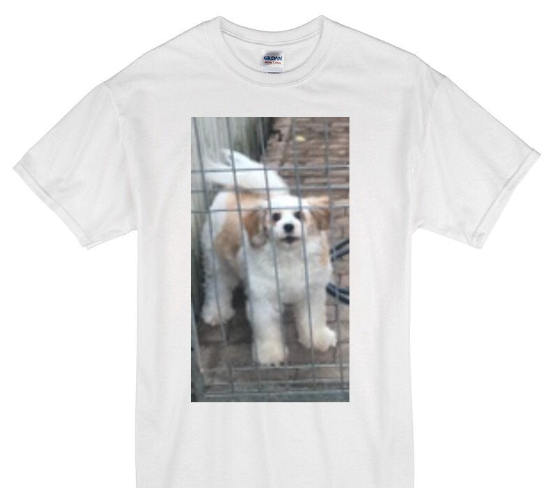 Custom Gildan 100% Cotton White T-Shirt