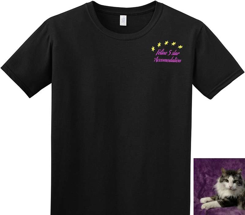 Custom Adult Soft Style 100% Cotton Black T-Shirt