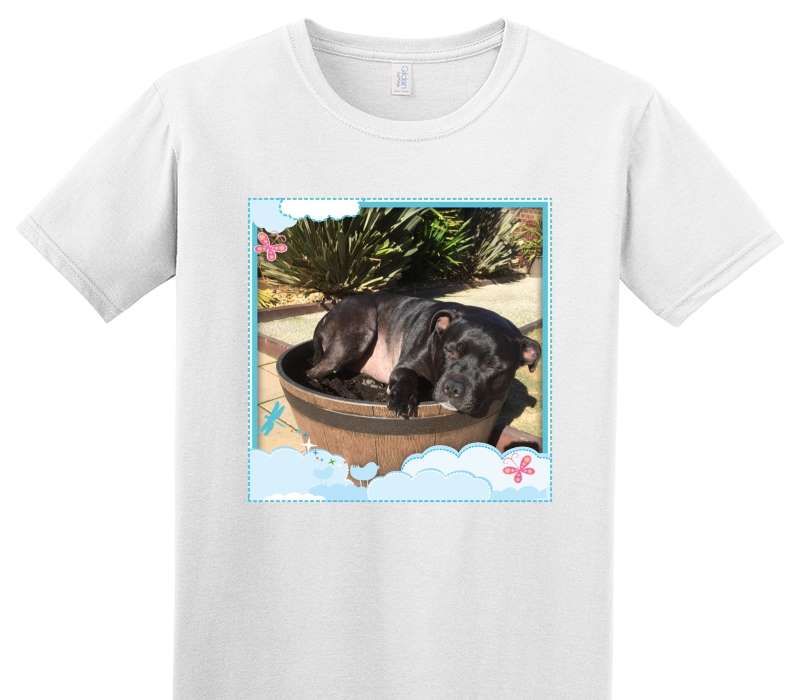 Custom Adult Soft Style 100% Cotton White T-Shirt