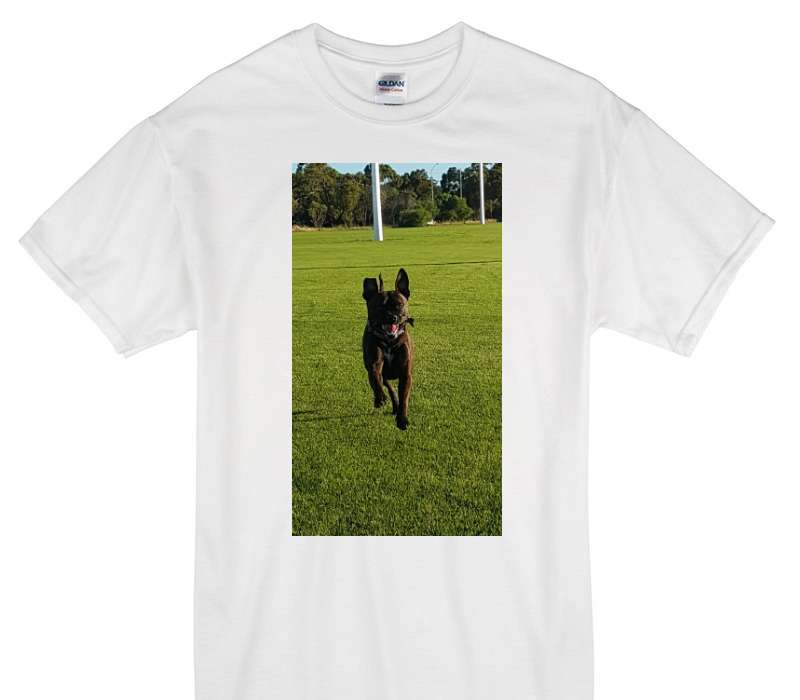 Custom Gildan 100% Cotton White T-Shirt
