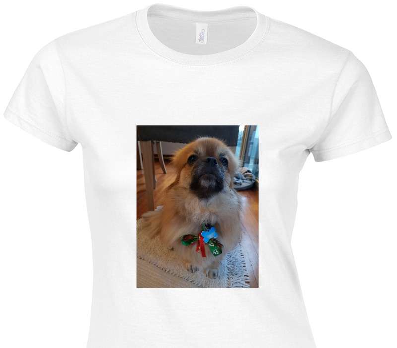 Custom Womens Soft Style 100% Cotton White T-Shirt
