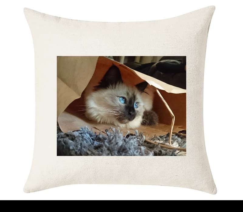 Custom Cushion Cover 50cm x 50 cm Off White