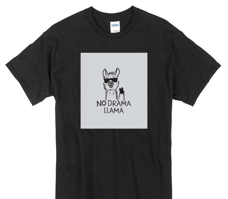 Custom Gildan 100% Cotton Black T-Shirt
