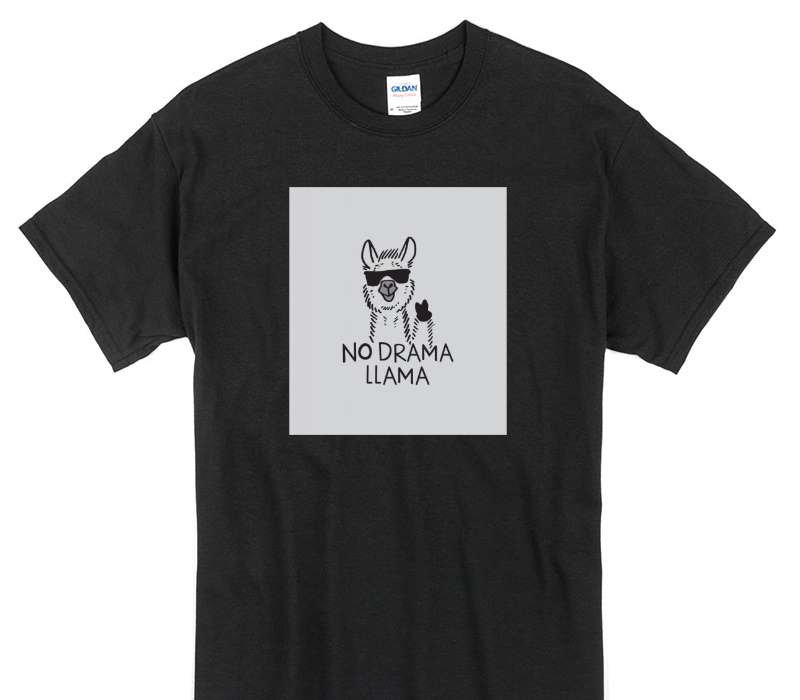 Custom Gildan 100% Cotton Black T-Shirt