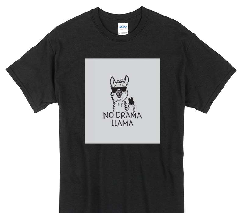 Custom Gildan 100% Cotton Black T-Shirt