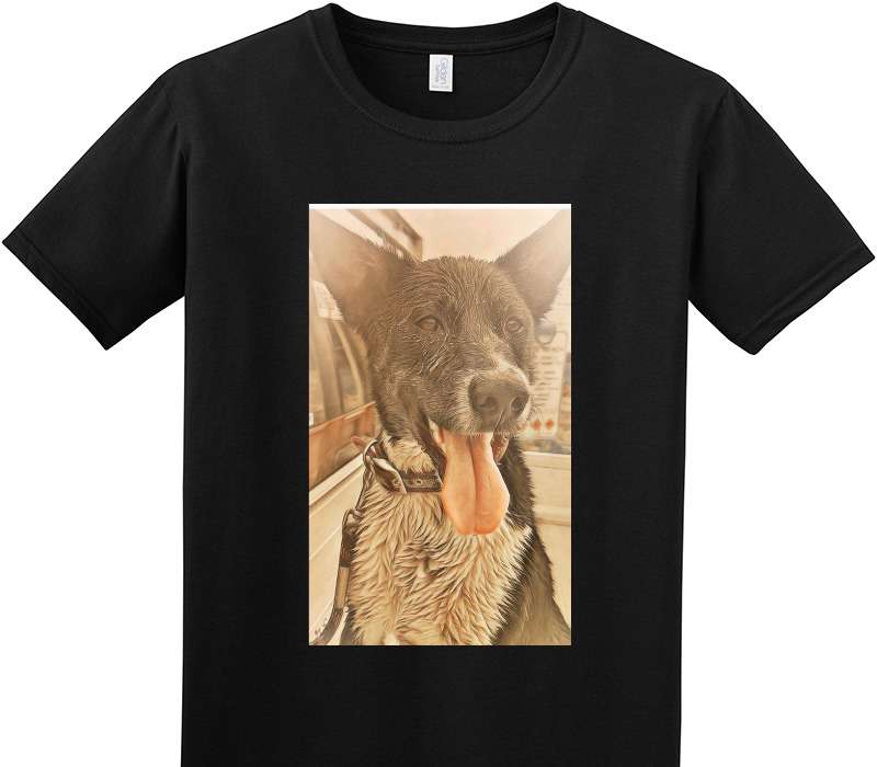 Custom Adult Soft Style 100% Cotton Black T-Shirt