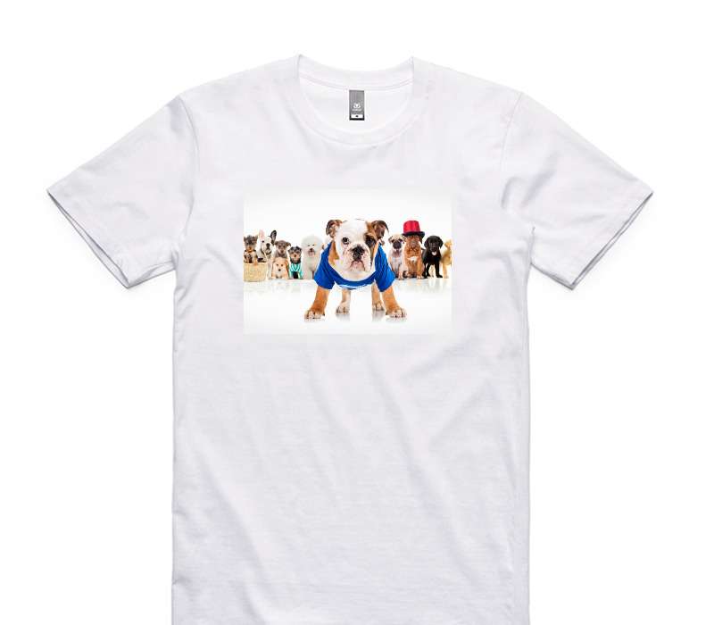 Custom AS Colour 100% Cotton White T-Shirt