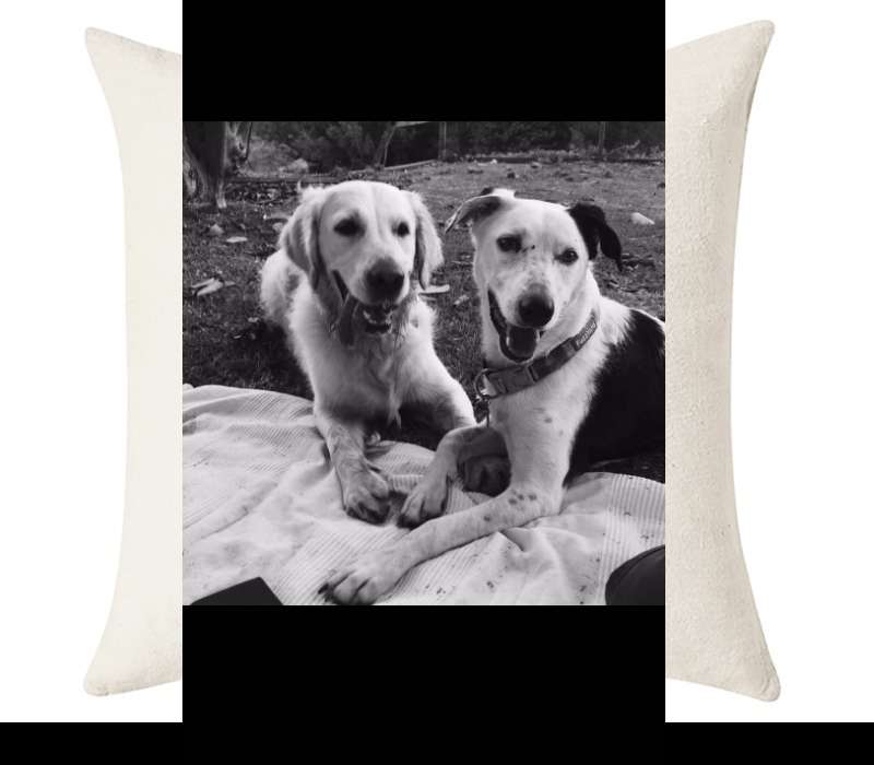 Custom Cushion Cover 50cm x 50 cm Off White