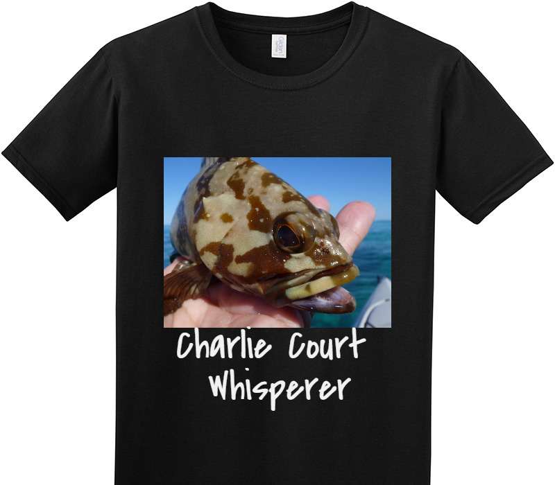 Custom Adult Soft Style 100% Cotton Black T-Shirt