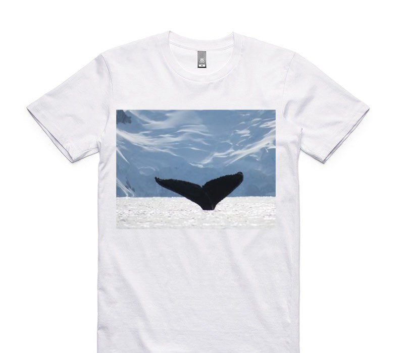 Custom AS Colour 100% Cotton White T-Shirt