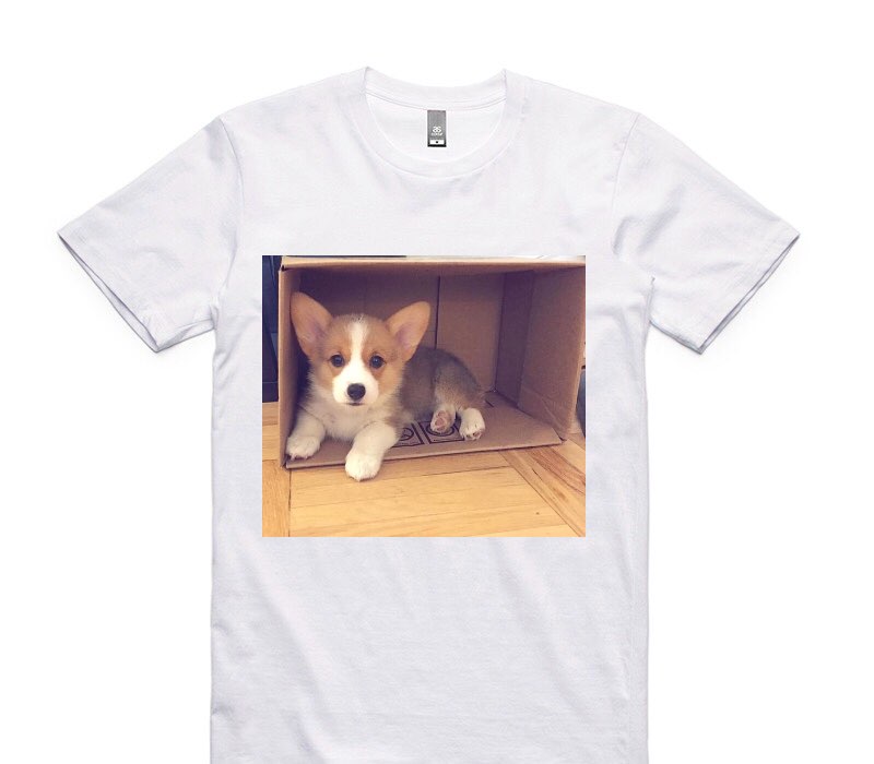 Custom AS Colour 100% Cotton White T-Shirt