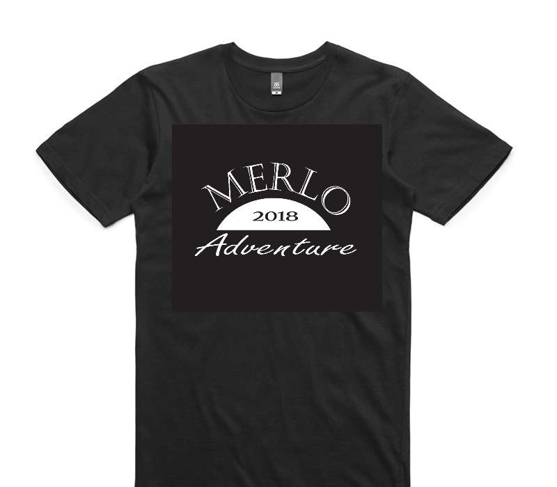Custom AS Colour 100% Cotton Black T-Shirt