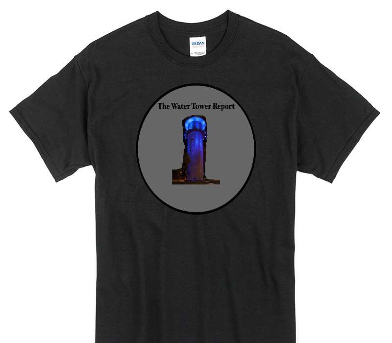 Custom Gildan 100% Cotton Black T-Shirt