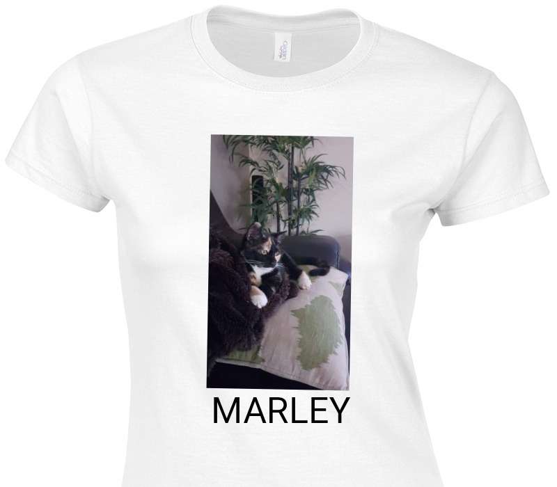 Custom Womens Soft Style 100% Cotton White T-Shirt