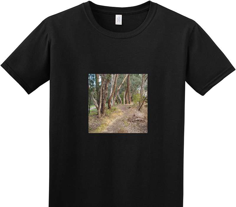 Custom Adult Soft Style 100% Cotton Black T-Shirt