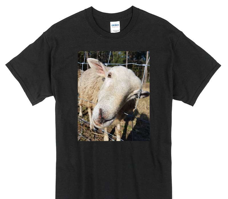 Custom Gildan 100% Cotton Black T-Shirt