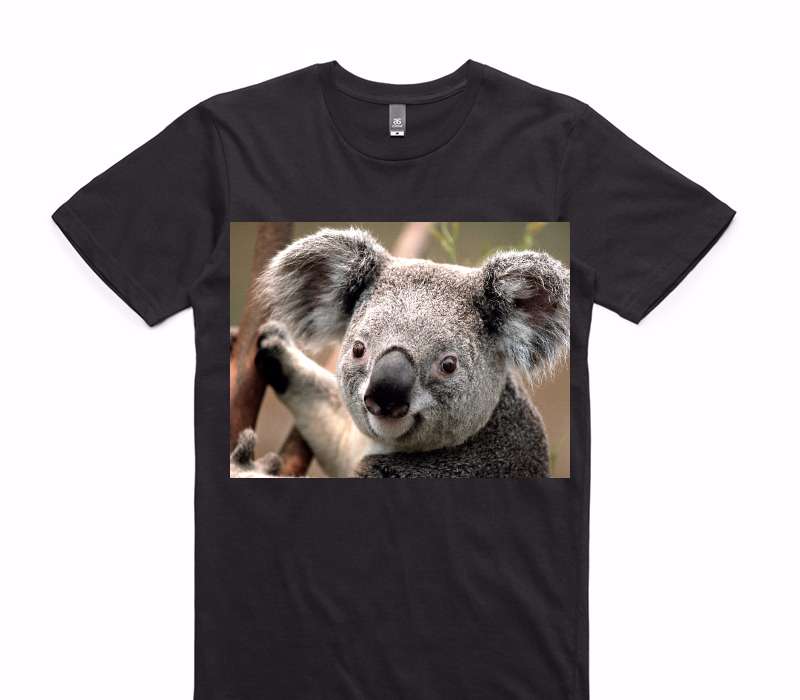 Custom AS Colour 100% Cotton Black T-Shirt