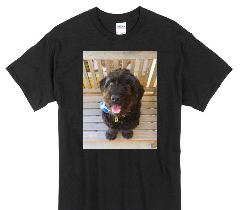 Custom Gildan 100% Cotton Black T-Shirt