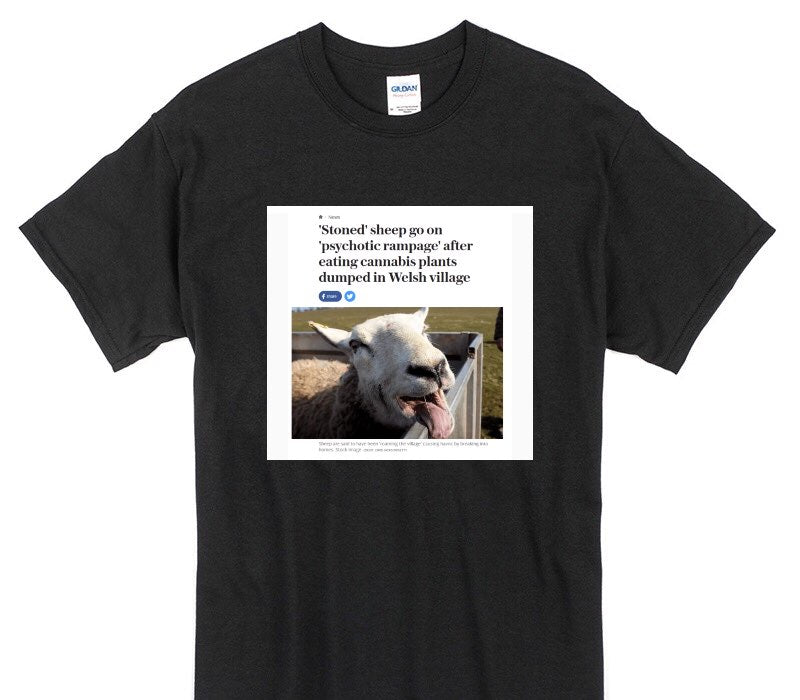 Custom Gildan 100% Cotton Black T-Shirt