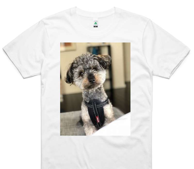 Custom AS Colour 100% Organic Cotton White T-Shirt