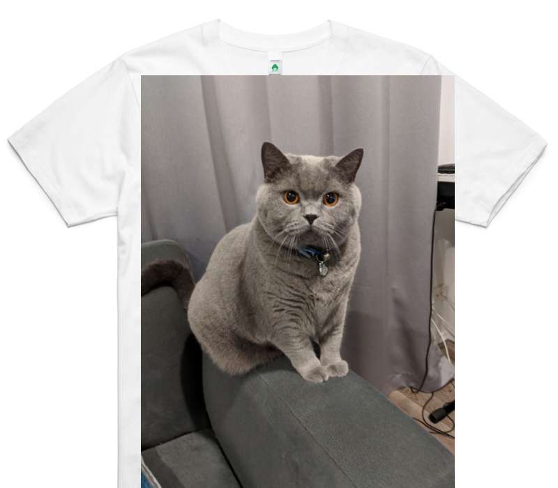 Custom AS Colour 100% Organic Cotton White T-Shirt