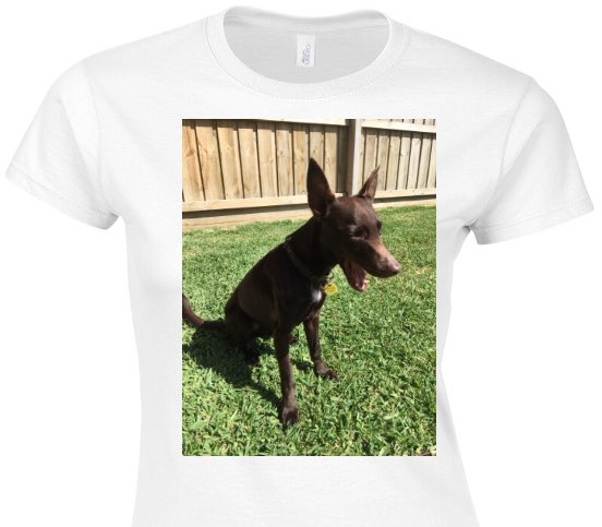 Custom Womens Soft Style 100% Cotton White T-Shirt