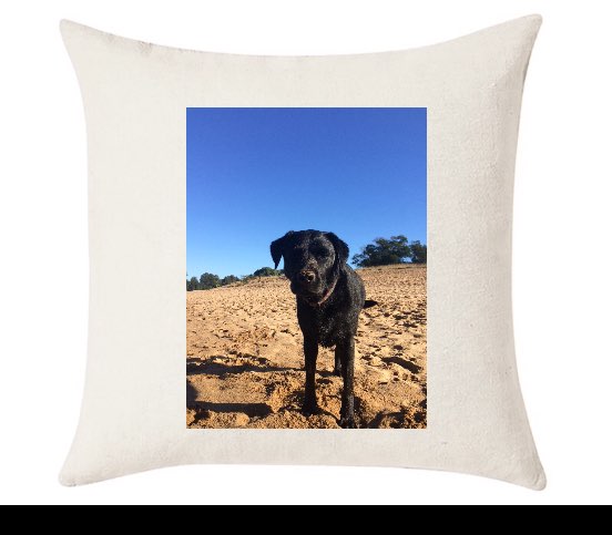 Custom Cushion Cover 50cm x 50 cm Off White
