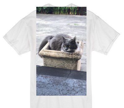 Custom Gildan 100% Cotton White T-Shirt