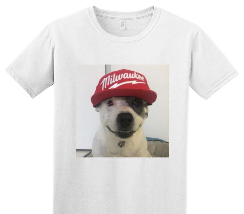 Custom Adult Soft Style 100% Cotton White T-Shirt