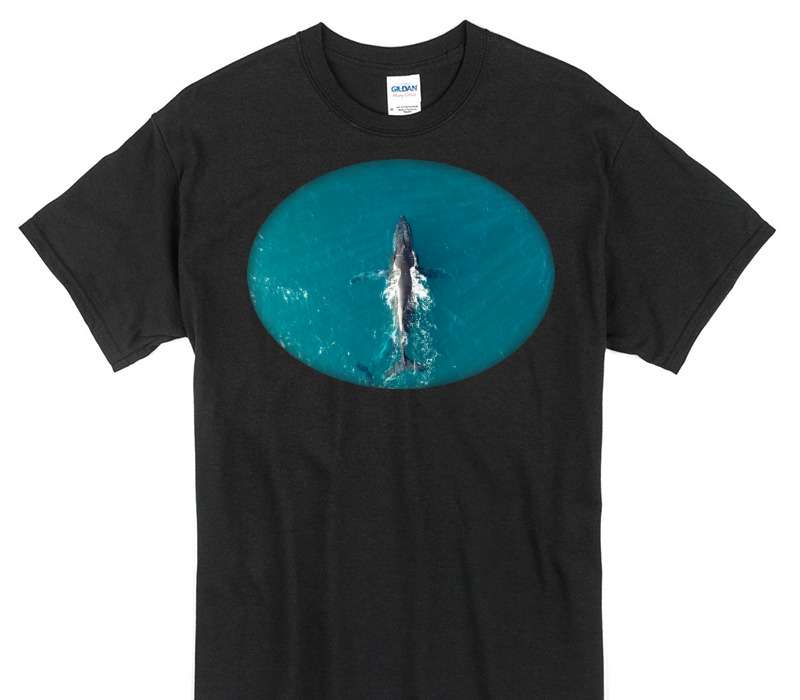 Custom Gildan 100% Cotton Black T-Shirt