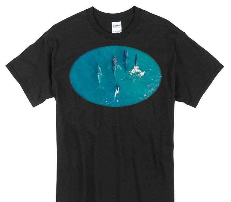 Custom Gildan 100% Cotton Black T-Shirt