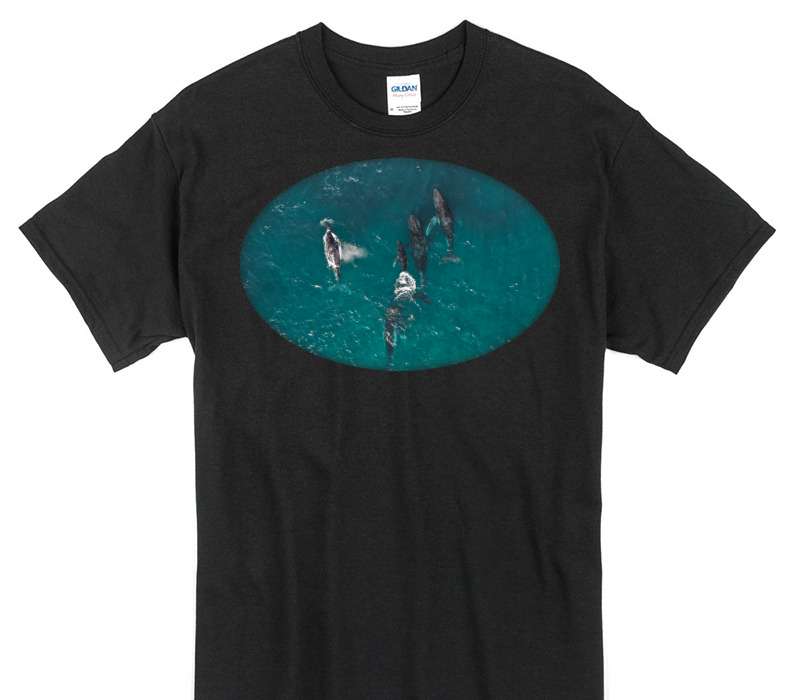 Custom Gildan 100% Cotton Black T-Shirt