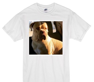 Custom Gildan 100% Cotton White T-Shirt
