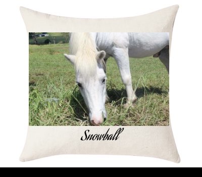 Custom Cushion Cover 50cm x 50 cm Off White