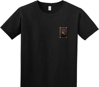 Custom Adult Soft Style 100% Cotton Black T-Shirt