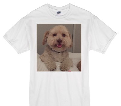 Custom Gildan 100% Cotton White T-Shirt
