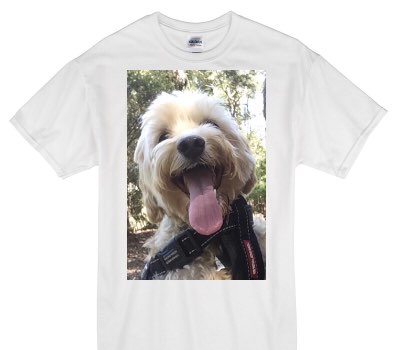 Custom Gildan 100% Cotton White T-Shirt
