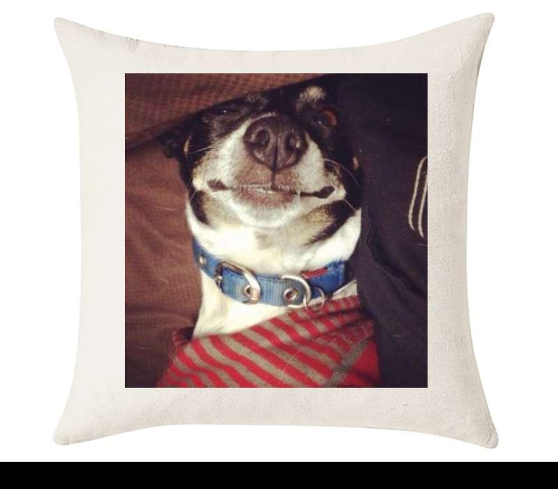 Custom Cushion Cover 50cm x 50 cm Off White