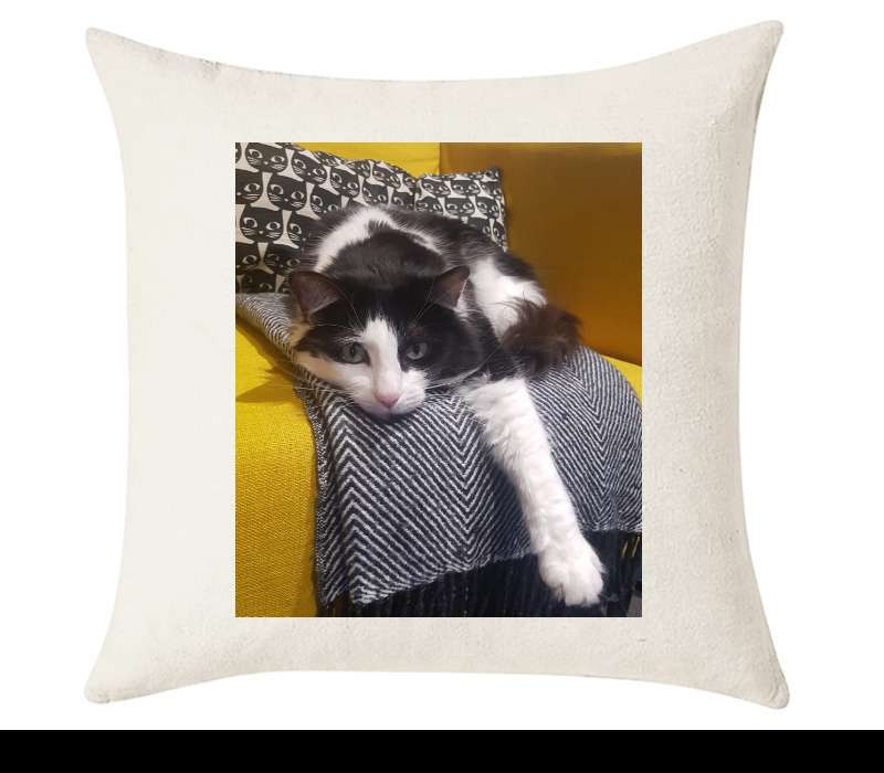 Custom Cushion Cover 50cm x 50 cm Off White