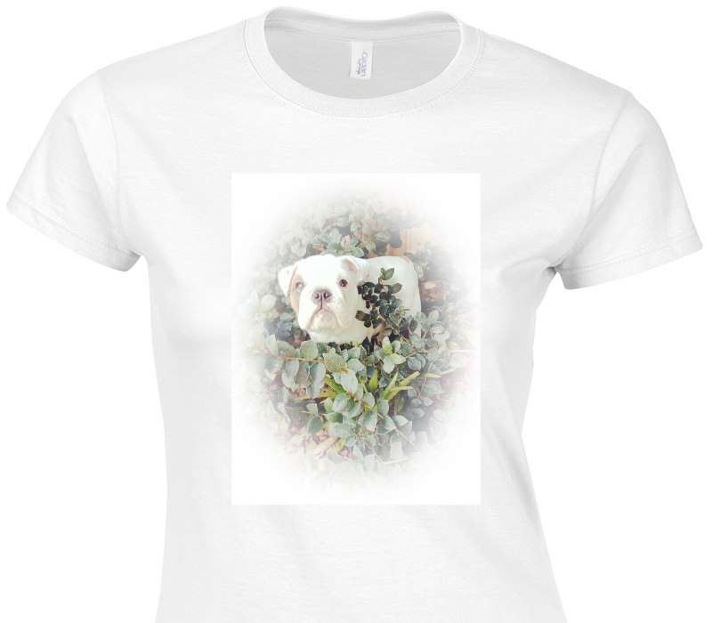 Custom Womens Soft Style 100% Cotton White T-Shirt