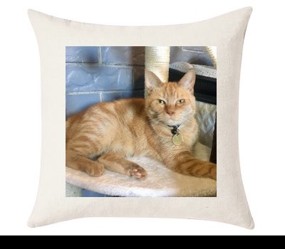 Custom Cushion Cover 50cm x 50 cm Off White