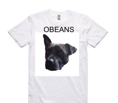 Custom AS Colour 100% Cotton White T-Shirt