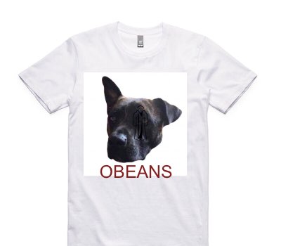 Custom AS Colour 100% Cotton White T-Shirt