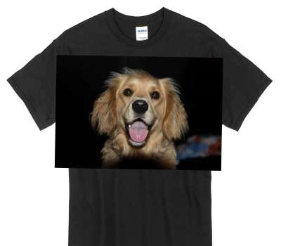Custom Gildan 100% Cotton Black T-Shirt